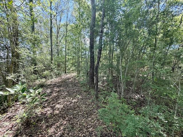 46213 Otis Bickham Road Franklinton, LA 70438 - Photo 12 of 18
