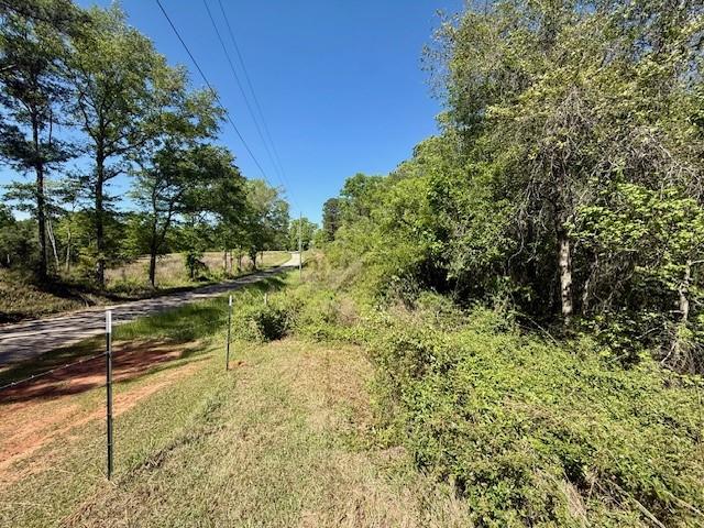 46213 Otis Bickham Road Franklinton, LA 70438 - Photo 13 of 18