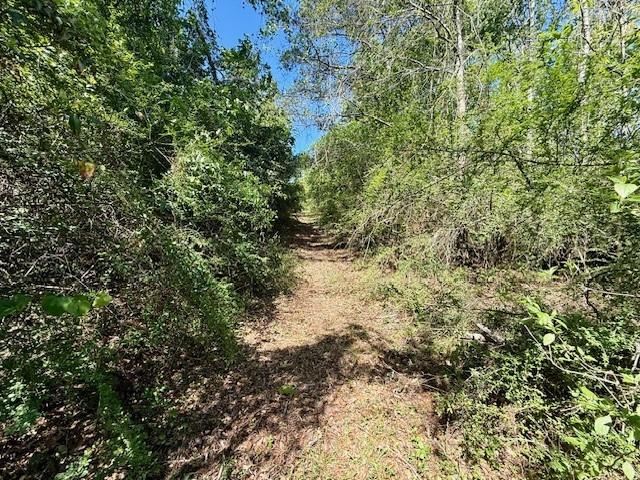 46213 Otis Bickham Road Franklinton, LA 70438 - Photo 15 of 18