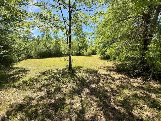 46213 Otis Bickham Road Franklinton, LA 70438 - Photo 5 of 18