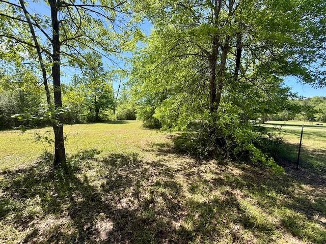 46213 Otis Bickham Road Franklinton, LA 70438 - Photo 6 of 18