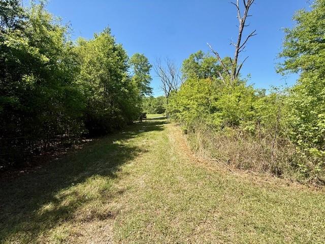 46213 Otis Bickham Road Franklinton, LA 70438 - Photo 7 of 18