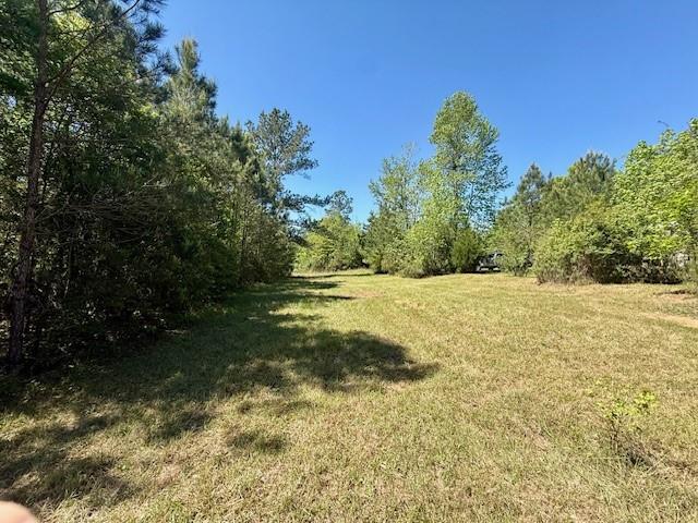 46213 Otis Bickham Road Franklinton, LA 70438 - Photo 8 of 18