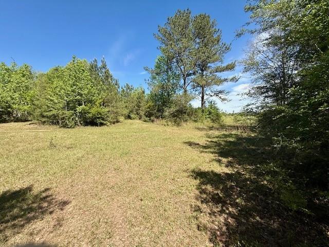 46213 Otis Bickham Road Franklinton, LA 70438 - Photo 9 of 18