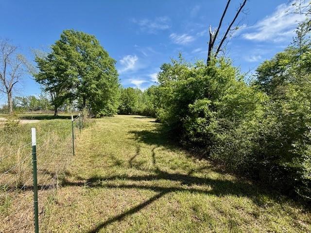 46213 Otis Bickham Road Franklinton, LA 70438 - Photo 10 of 18