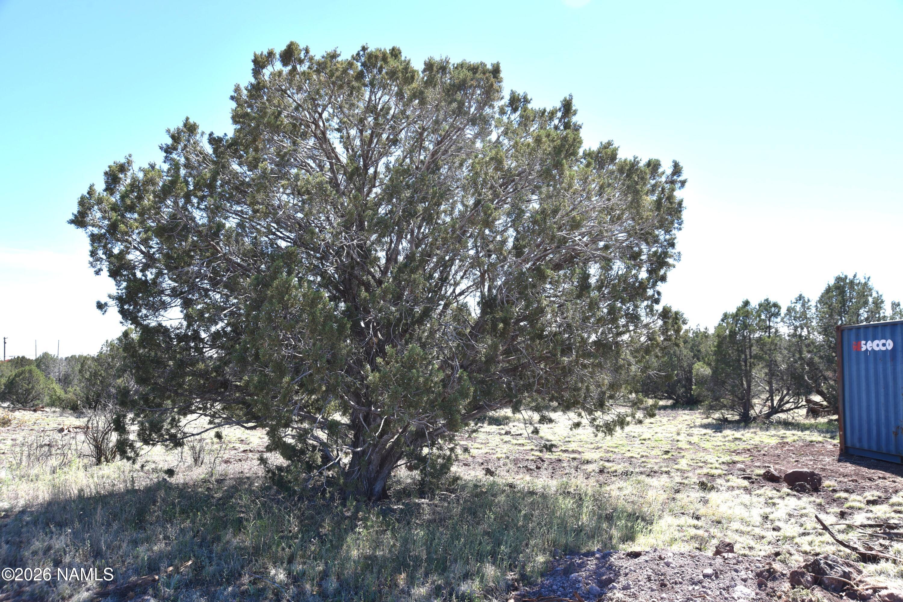 3744 Verde Road Williams, AZ 86046 - Photo 10 of 18 DSC_5049