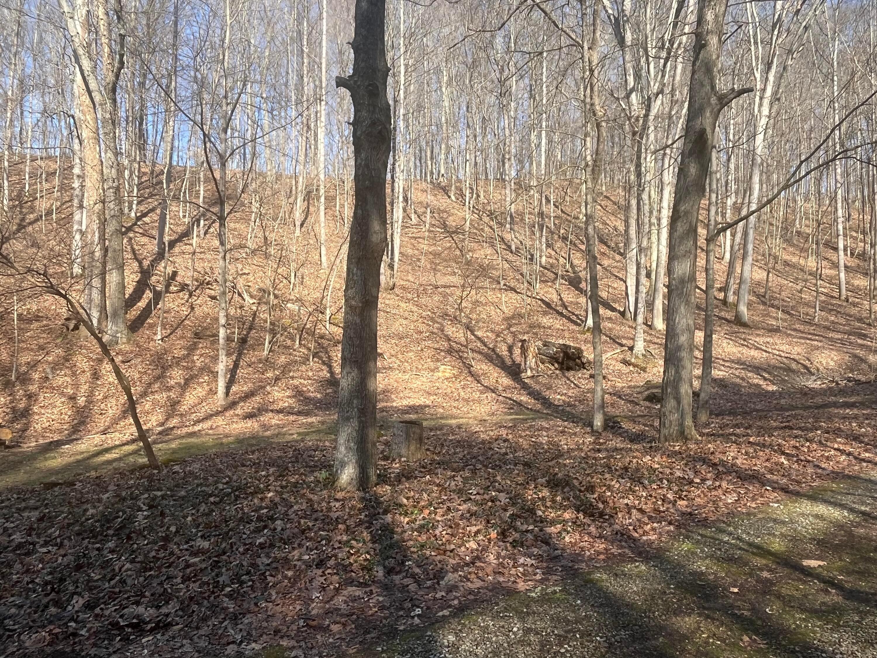 7504 Bremen Road Logan, OH 43138 - Photo 21 of 24 IMG_5633