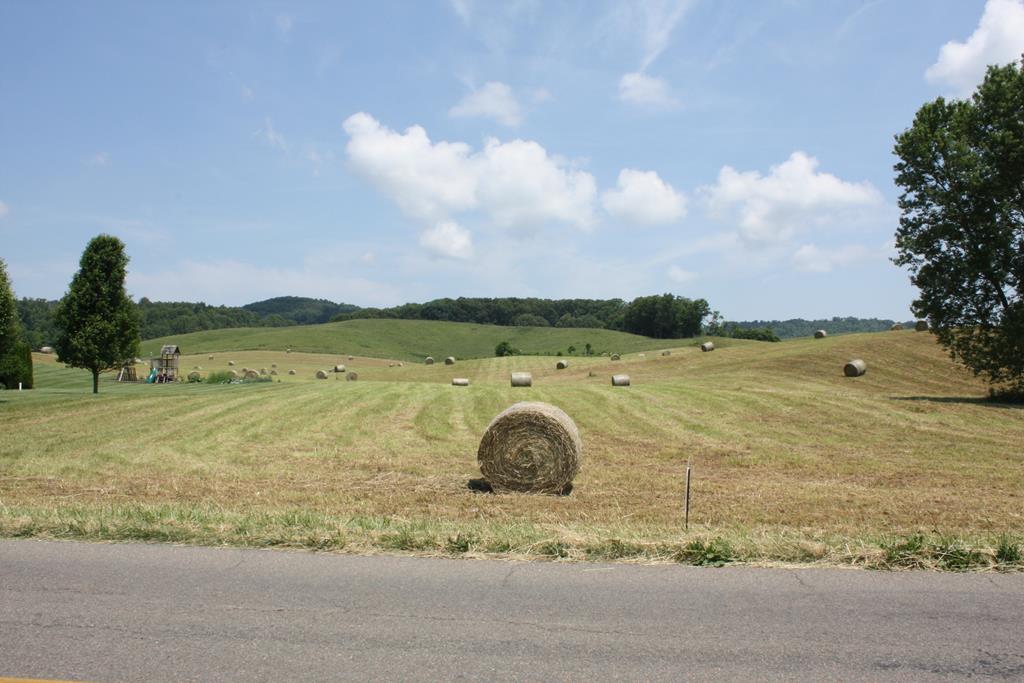 Tbd Reedy Creek Road Bristol, VA 24202 - Photo 9 of 11 Gallery Image 9
