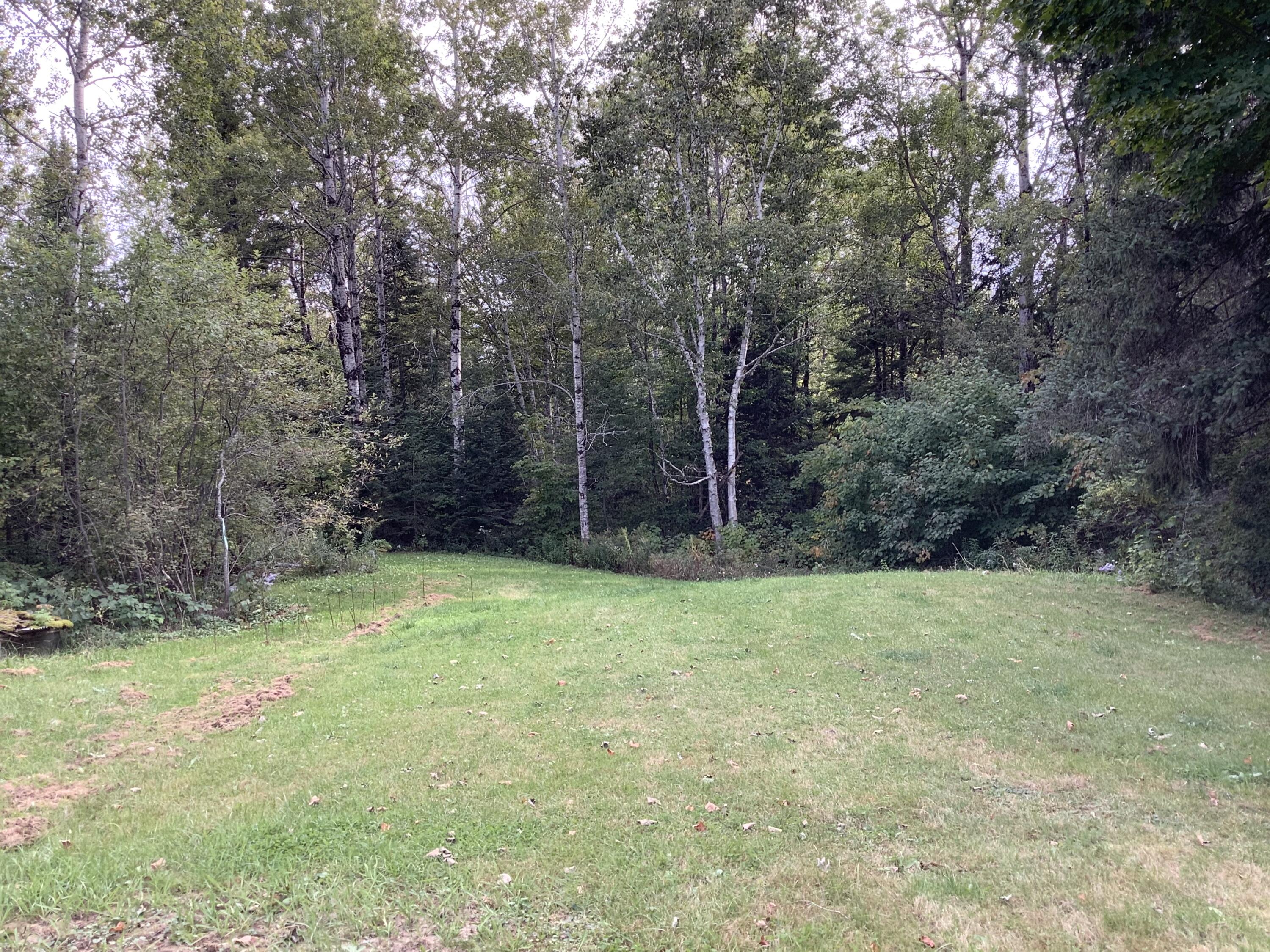 404 North Wade Road Washburn, ME 04786 - Photo 8 of 9 ED83915A-2033-48EF-8DE6-0954BEECA227