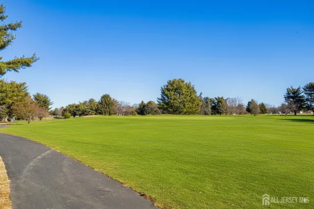 a view of an ocean and a yard