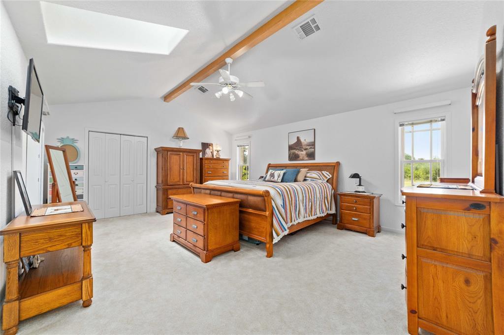 3612 Highway 1689 Comanche, TX 76442 - Photo 13 of 30 Bedroom with a skylight, light colored carpet, ceiling fan, and a closet