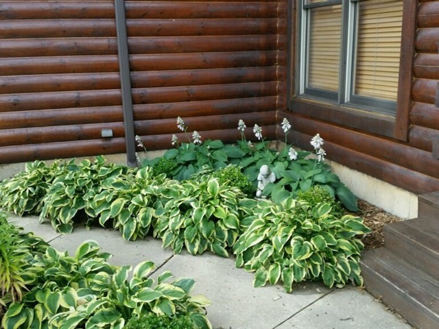 3619 East 1769th Road Ottawa, IL 61350 - Photo 24 of 39