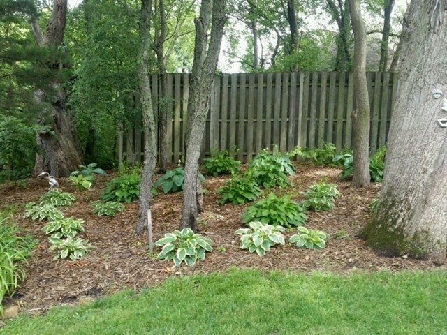 3619 East 1769th Road Ottawa, IL 61350 - Photo 25 of 39