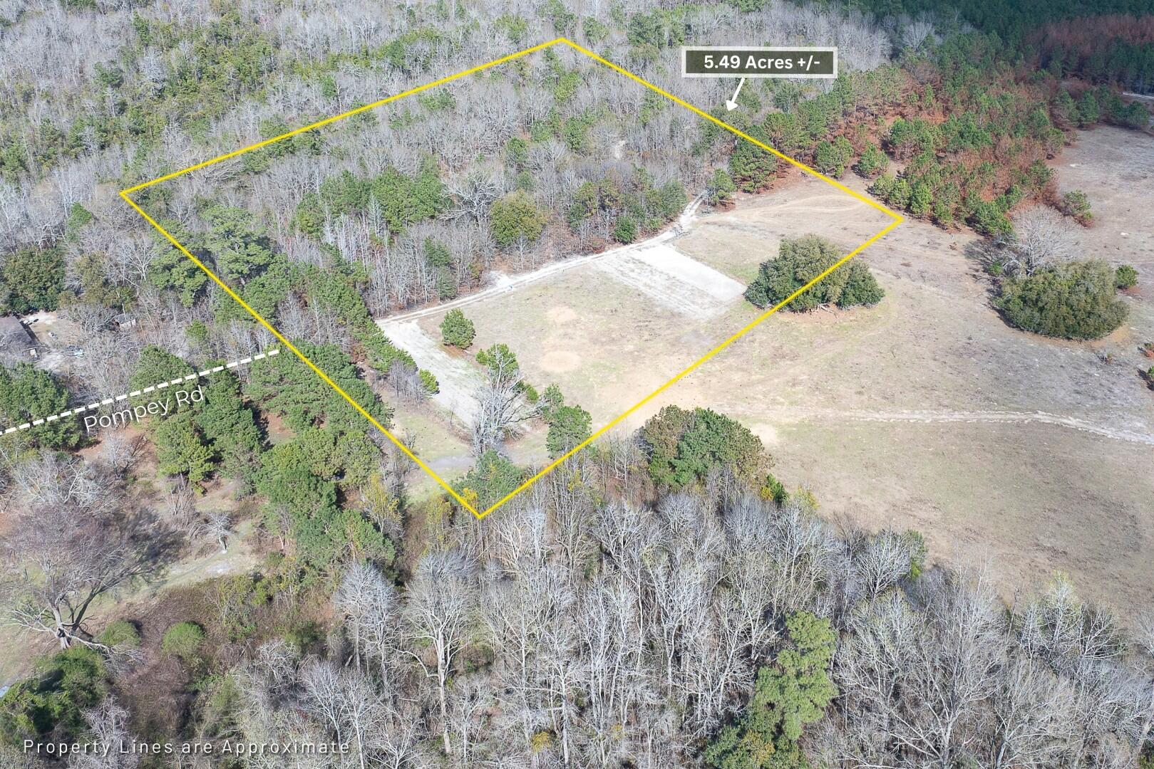 2 Pompey Road Manning, SC 29102 - Photo 1 of 40