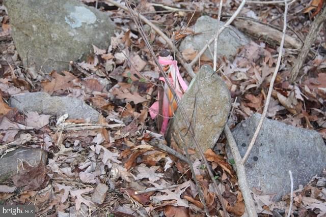 1121 Poplar Springs Road, Unit 7 Orrtanna, PA 17353 - Photo 5 of 11 Gallery Image 5