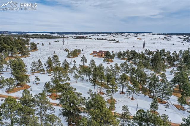 17165 Goshawk Road Colorado Springs, CO 80908 - Photo 8 of 50 Gallery Image 8