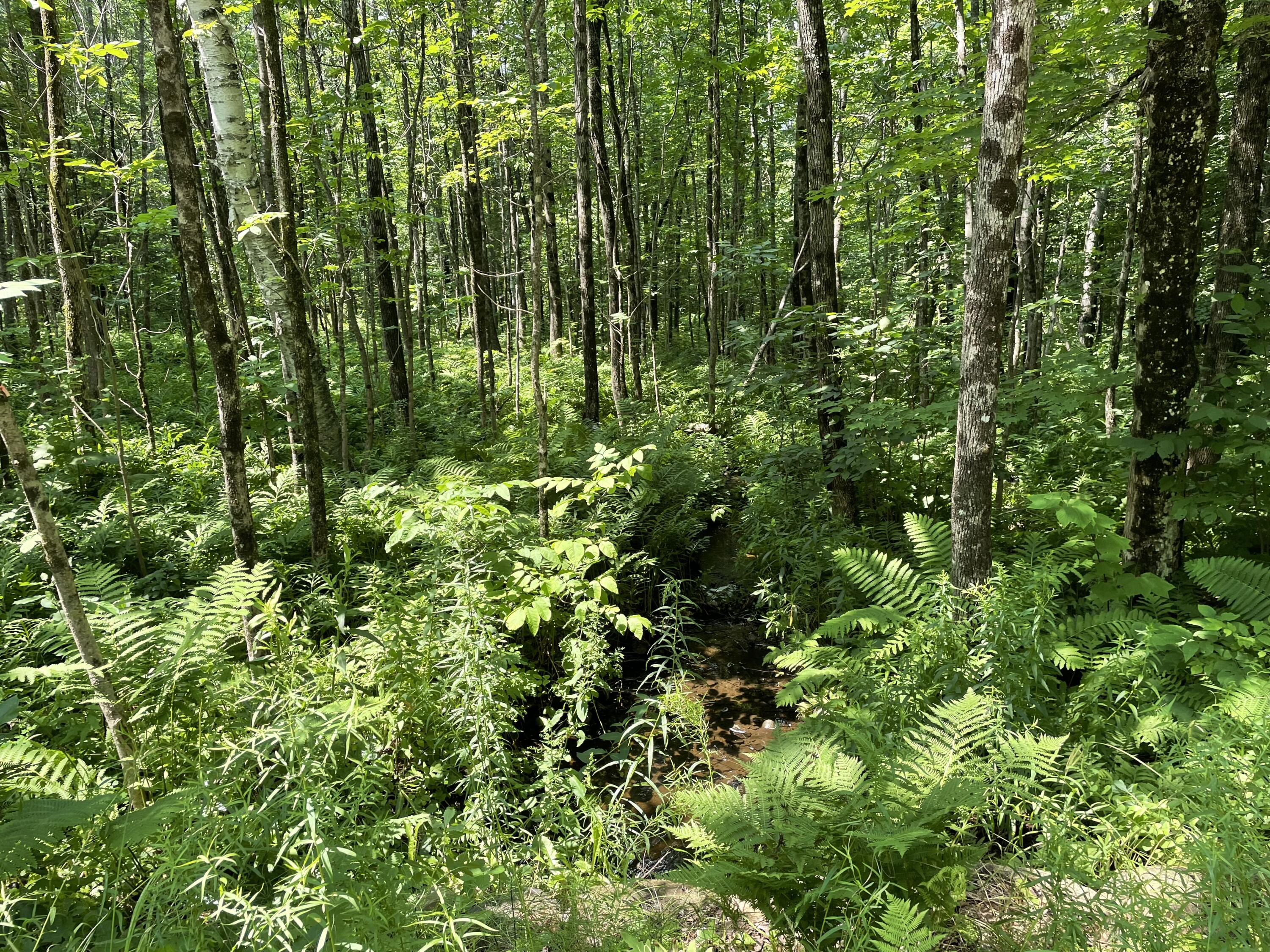 53.1 Center Hill Road Weld, ME 04285 - Photo 3 of 12 IMG_3433