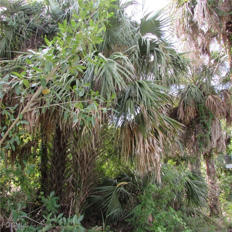 3401 Castile Road St. James City, FL 33956 - Photo 2 of 7