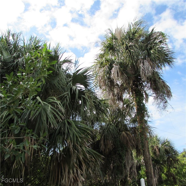 3401 Castile Road St. James City, FL 33956 - Photo 3 of 7