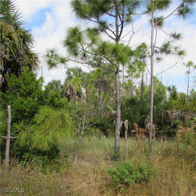 3401 Castile Road St. James City, FL 33956 - Photo 4 of 7