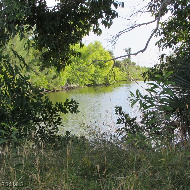 3401 Castile Road St. James City, FL 33956 - Photo 5 of 7