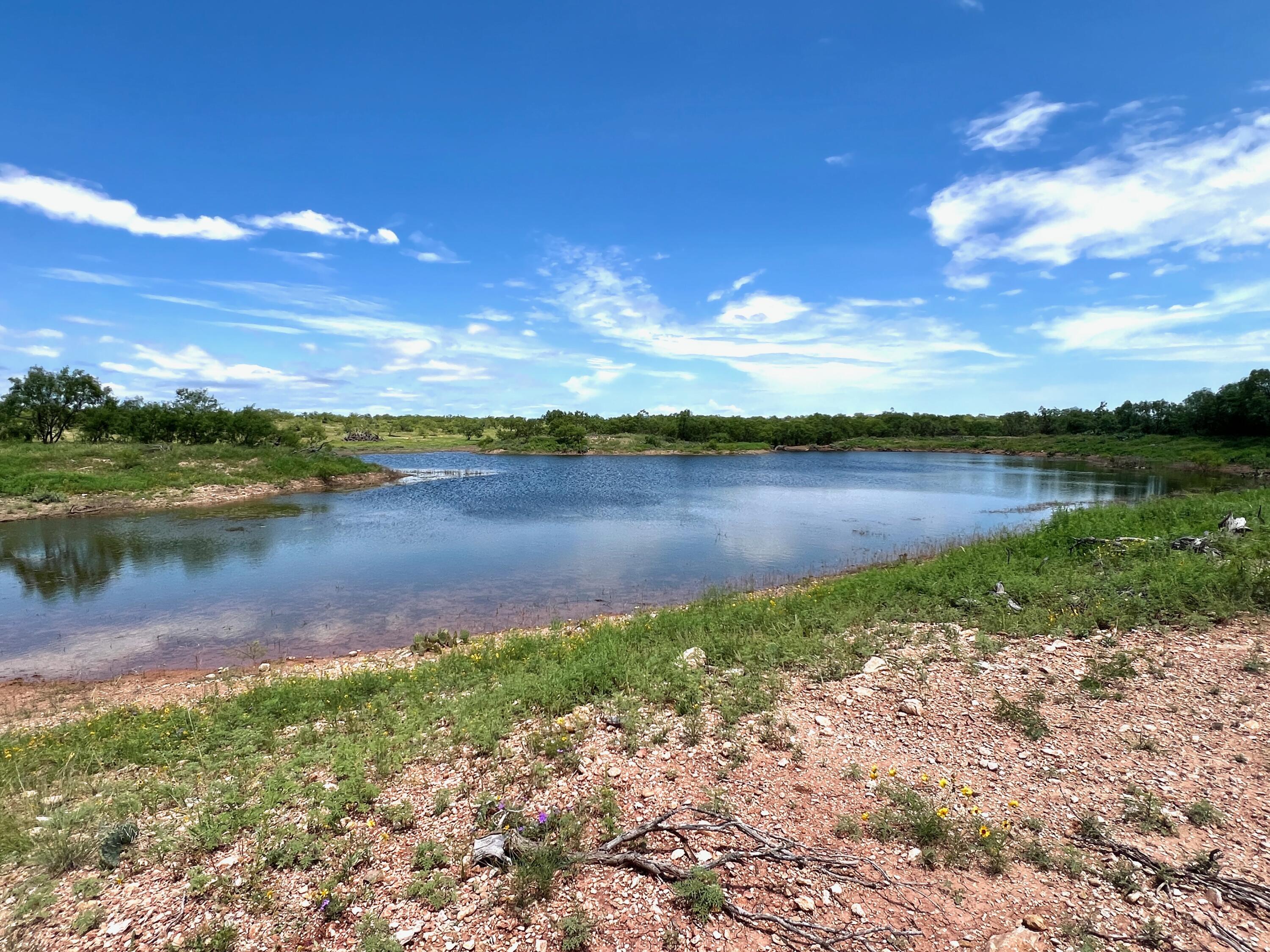 1818 County Road 267 Ballinger, TX 76821 - Photo 67 of 70 IMG_8607