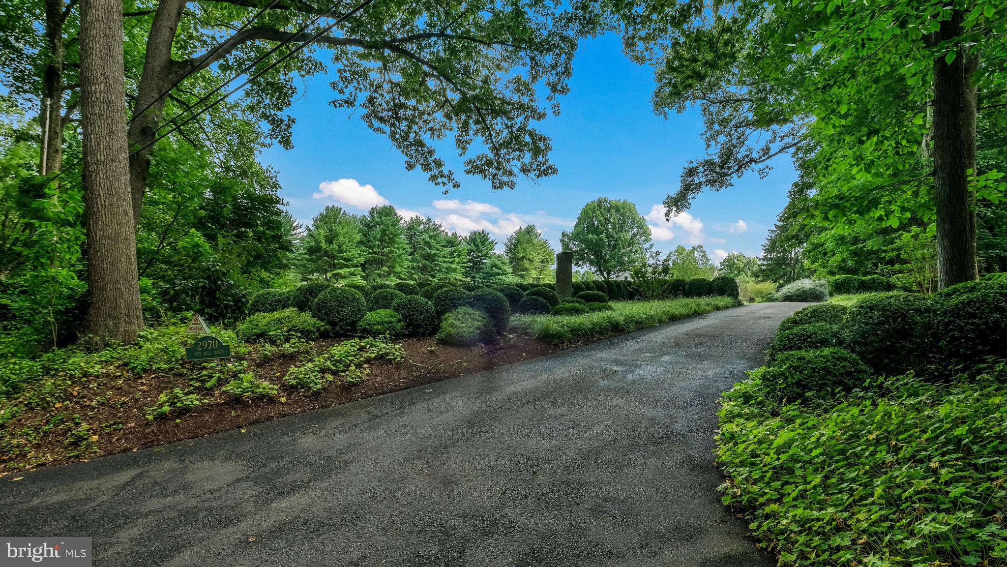 2970 Ash Mill Road Doylestown, PA 18902 - Photo 138 of 144 Manicured Entry up the driveway