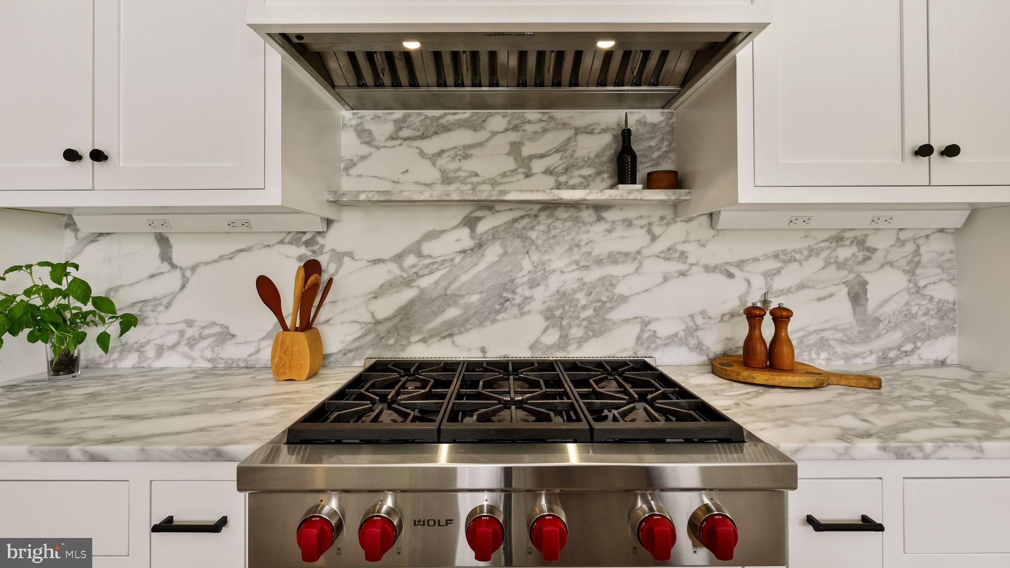2970 Ash Mill Road Doylestown, PA 18902 - Photo 23 of 144 Calcutta Honed Marble Backsplash--WOLF Range