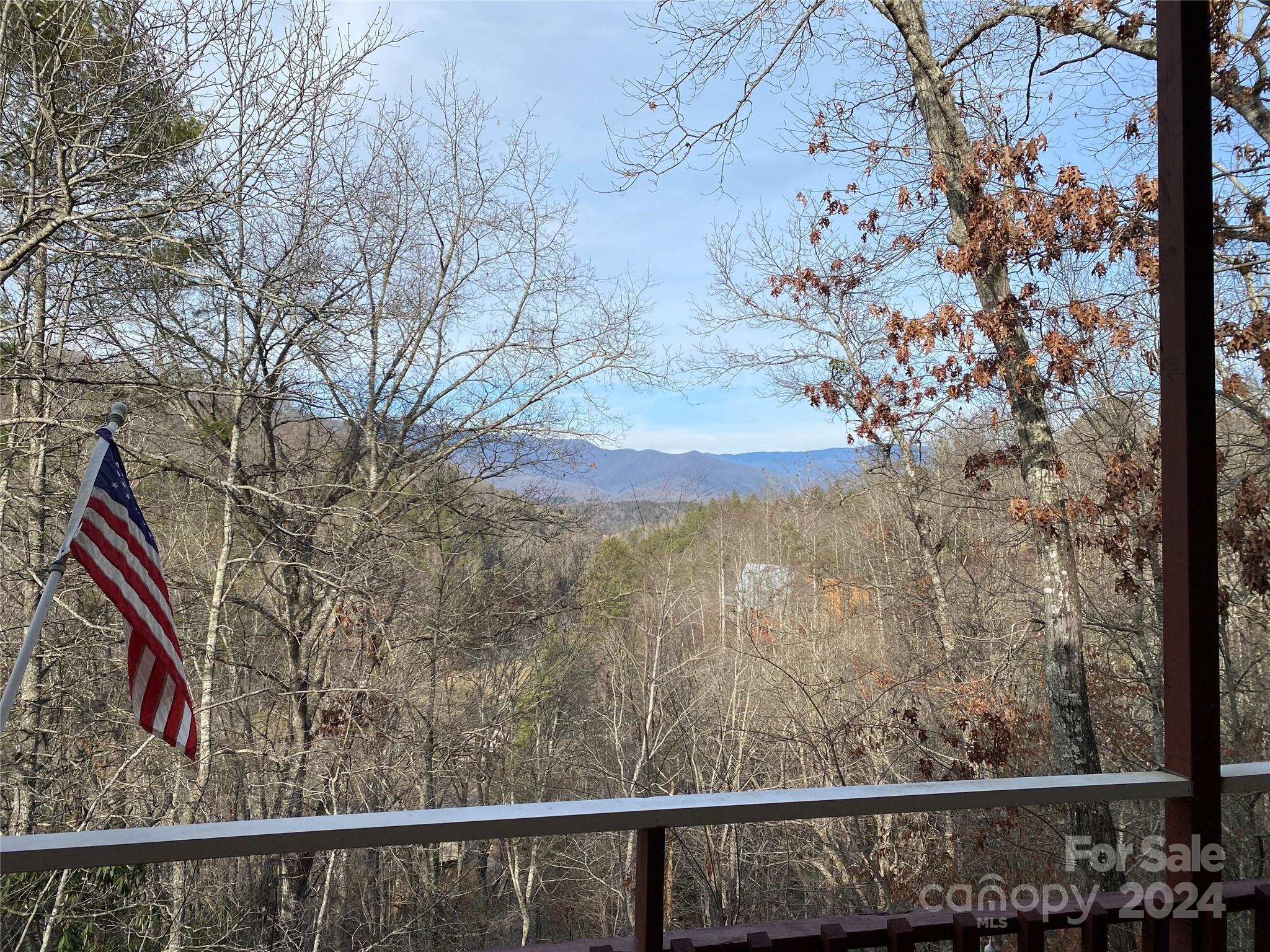 344 Pine Ridge Trail Almond, NC 28702 - Photo 26 of 34 a view of a forest from a balcony