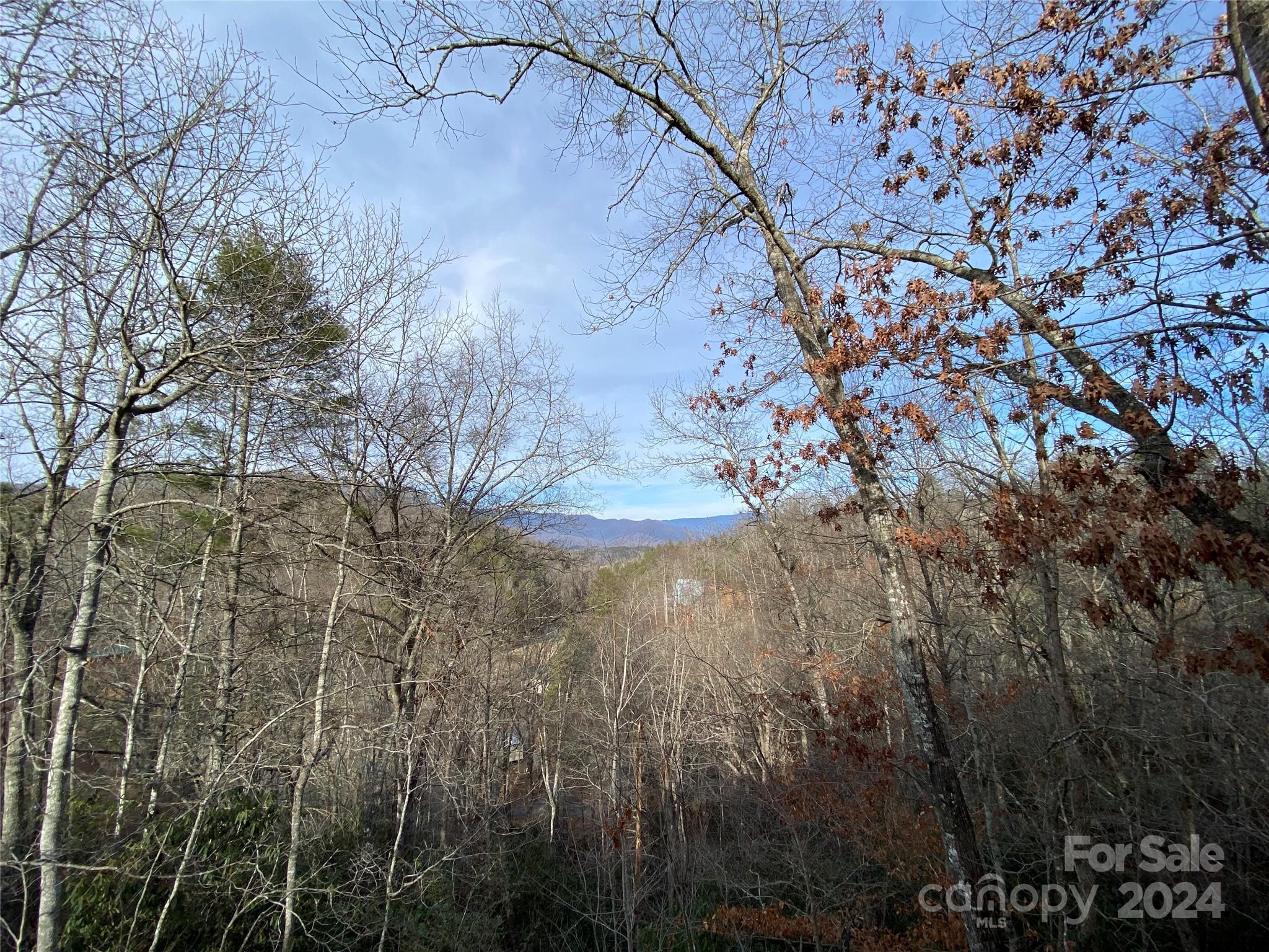 344 Pine Ridge Trail Almond, NC 28702 - Photo 27 of 34 a view of a forest