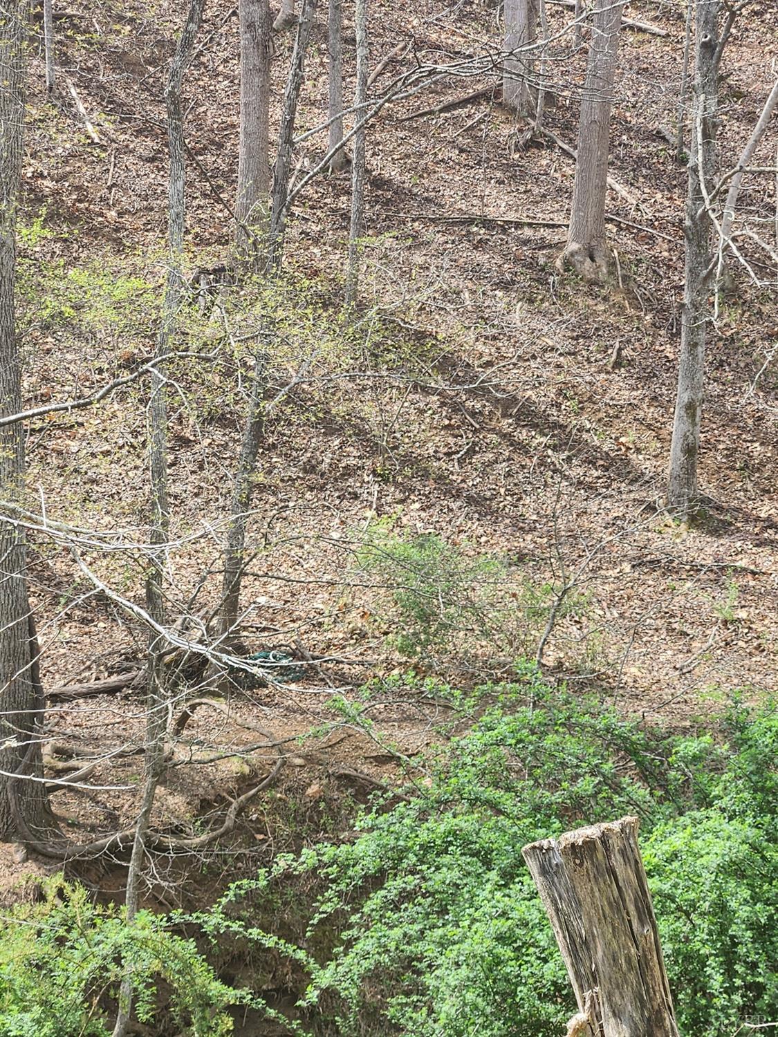 303 Harrison Creek Road Amherst, VA 24521 - Photo 12 of 12