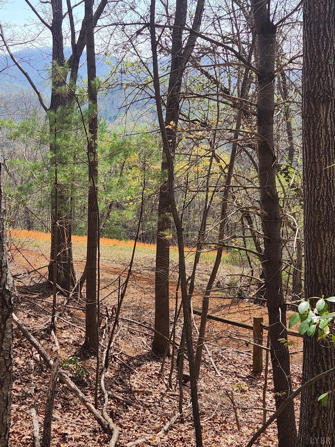 303 Harrison Creek Road Amherst, VA 24521 - Photo 2 of 12 a view of trees and covered with snow