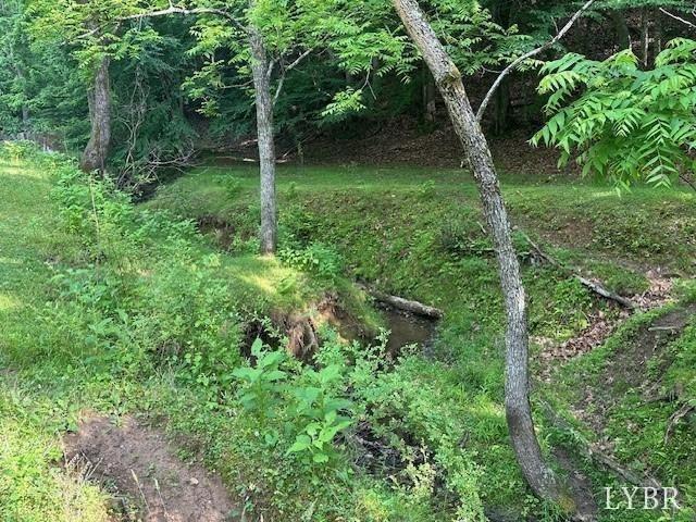 303 Harrison Creek Road Amherst, VA 24521 - Photo 7 of 12 a view of a lush green forest