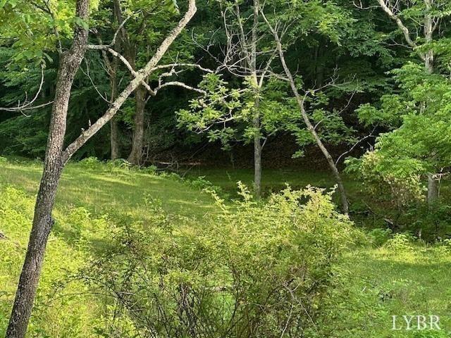 303 Harrison Creek Road Amherst, VA 24521 - Photo 8 of 12 a backyard of a house with lots of green space and trees all around
