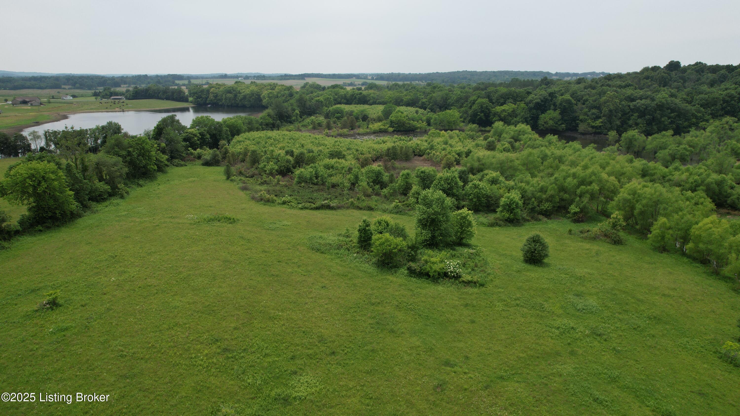 0 Upton Road Upton, KY 42784 - Photo 35 of 71 DJI_0963