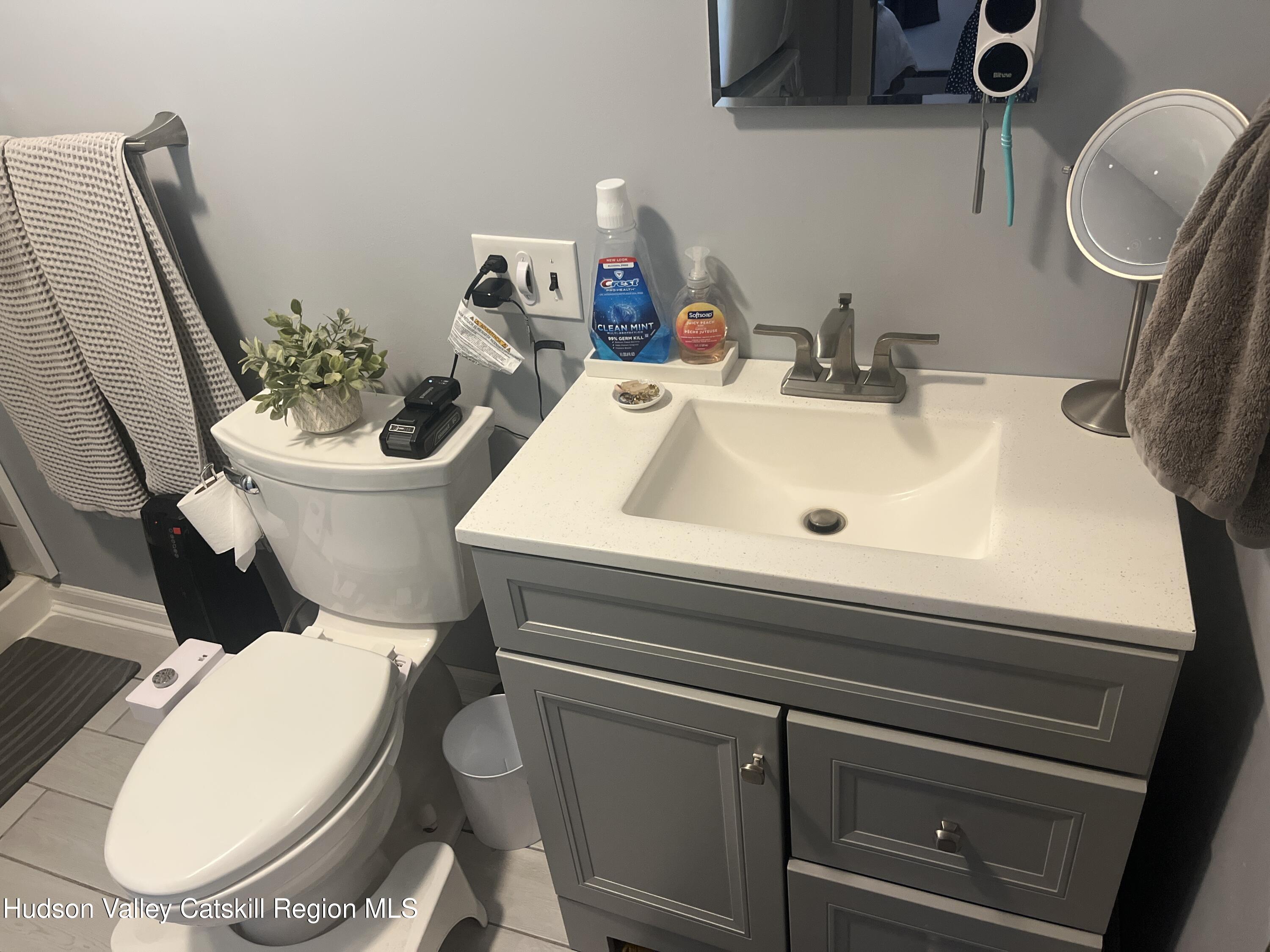 5538 Cauterskill Road Catskill, NY 12414 - Photo 16 of 23 a bathroom with a toilet a sink and a mirror
