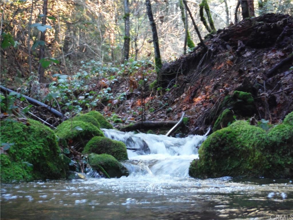 1395 Vilas Road Cohasset, CA 95973 - Photo 1 of 1 MIDDLE FORK OF MUD CREEK JANUARY 2016