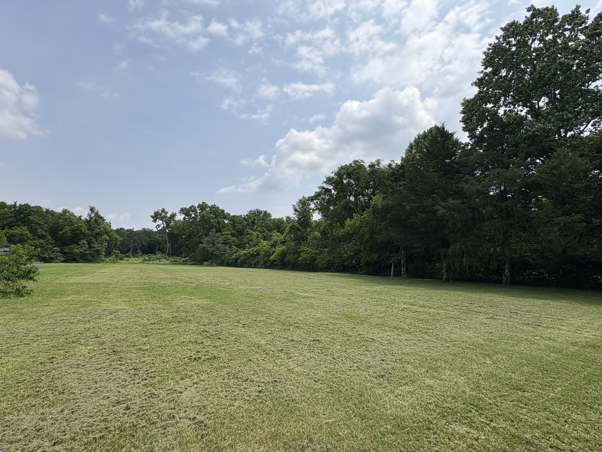 3033 Asbury Road Murfreesboro, TN 37129 - Photo 5 of 5 a view of outdoor space and yard