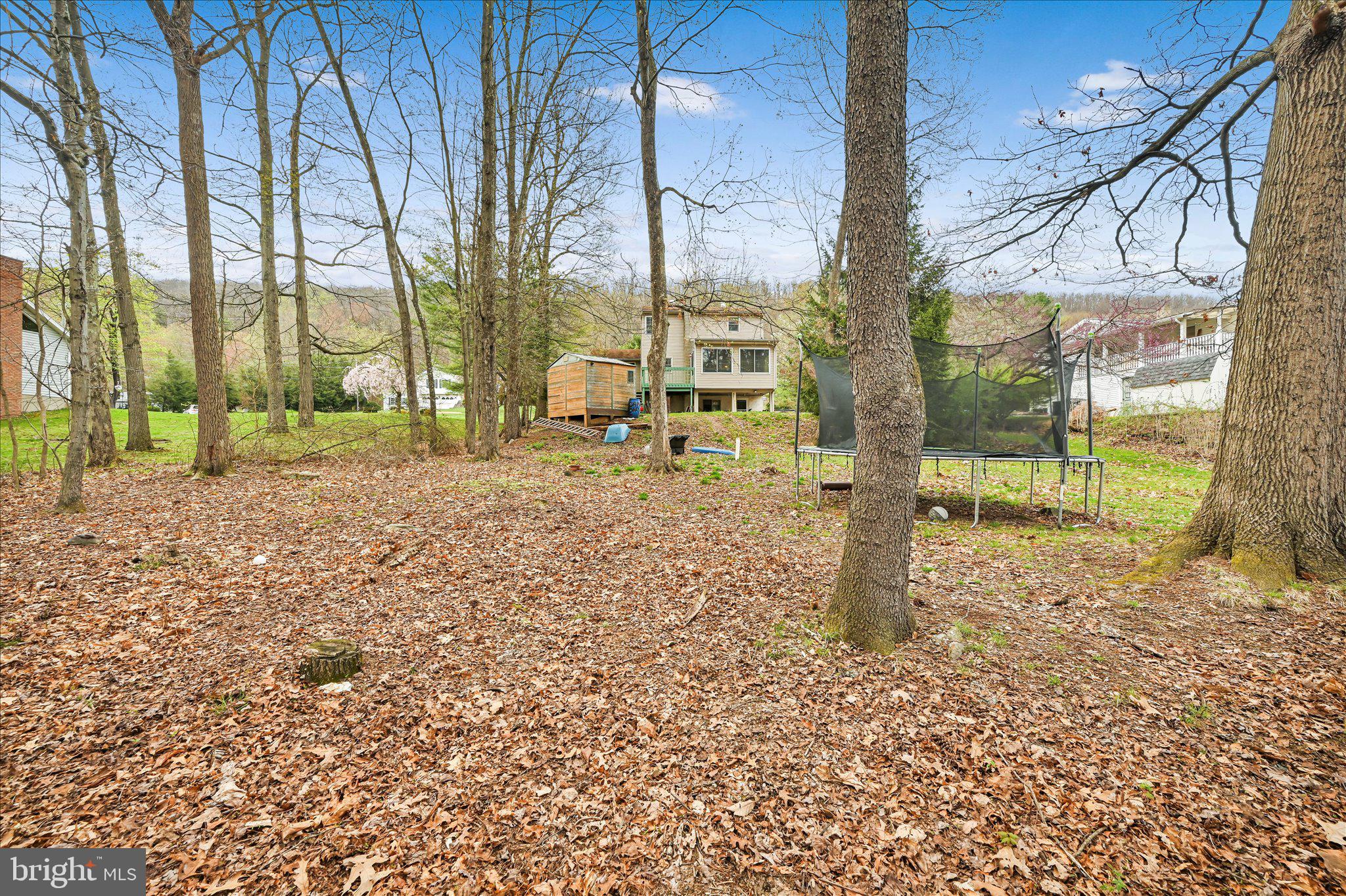 35 Hillside Road Pottsville, PA 17901 - Photo 29 of 33 Serene backyard retreat with trees.