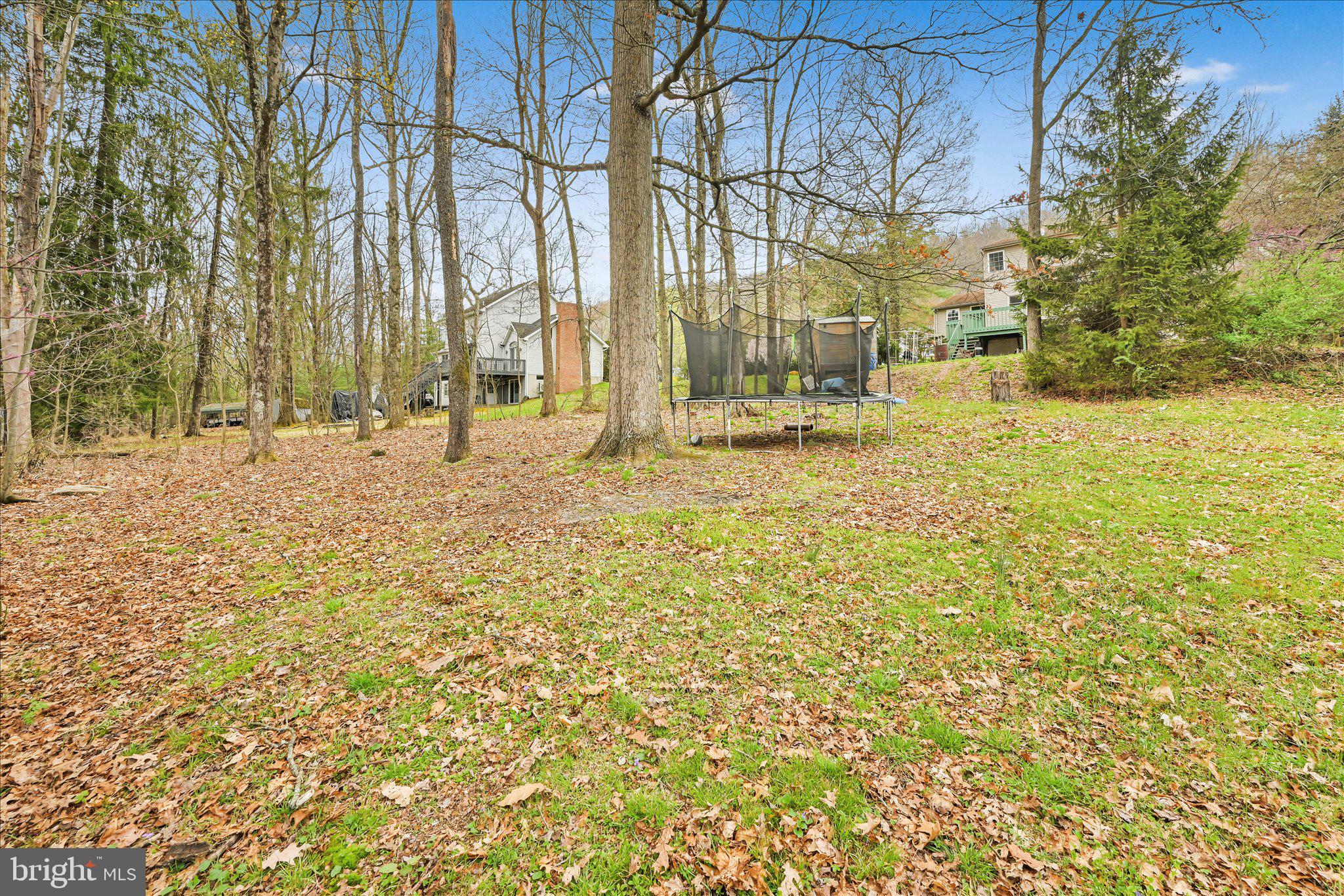 35 Hillside Road Pottsville, PA 17901 - Photo 31 of 33 Serene wooded retreat with trampoline.