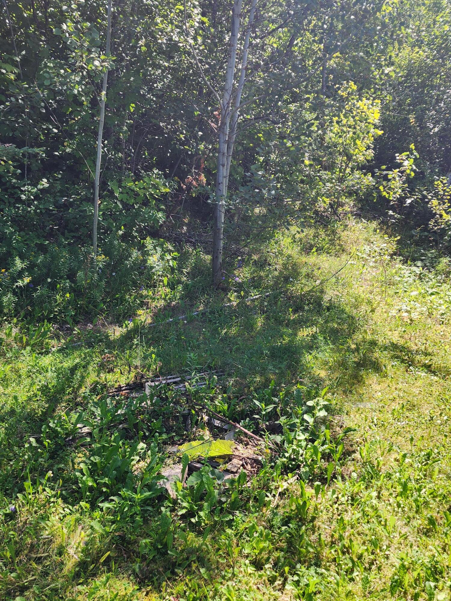 57 Fort Fairfield Road Presque Isle, ME 04769 - Photo 32 of 33 1000006212