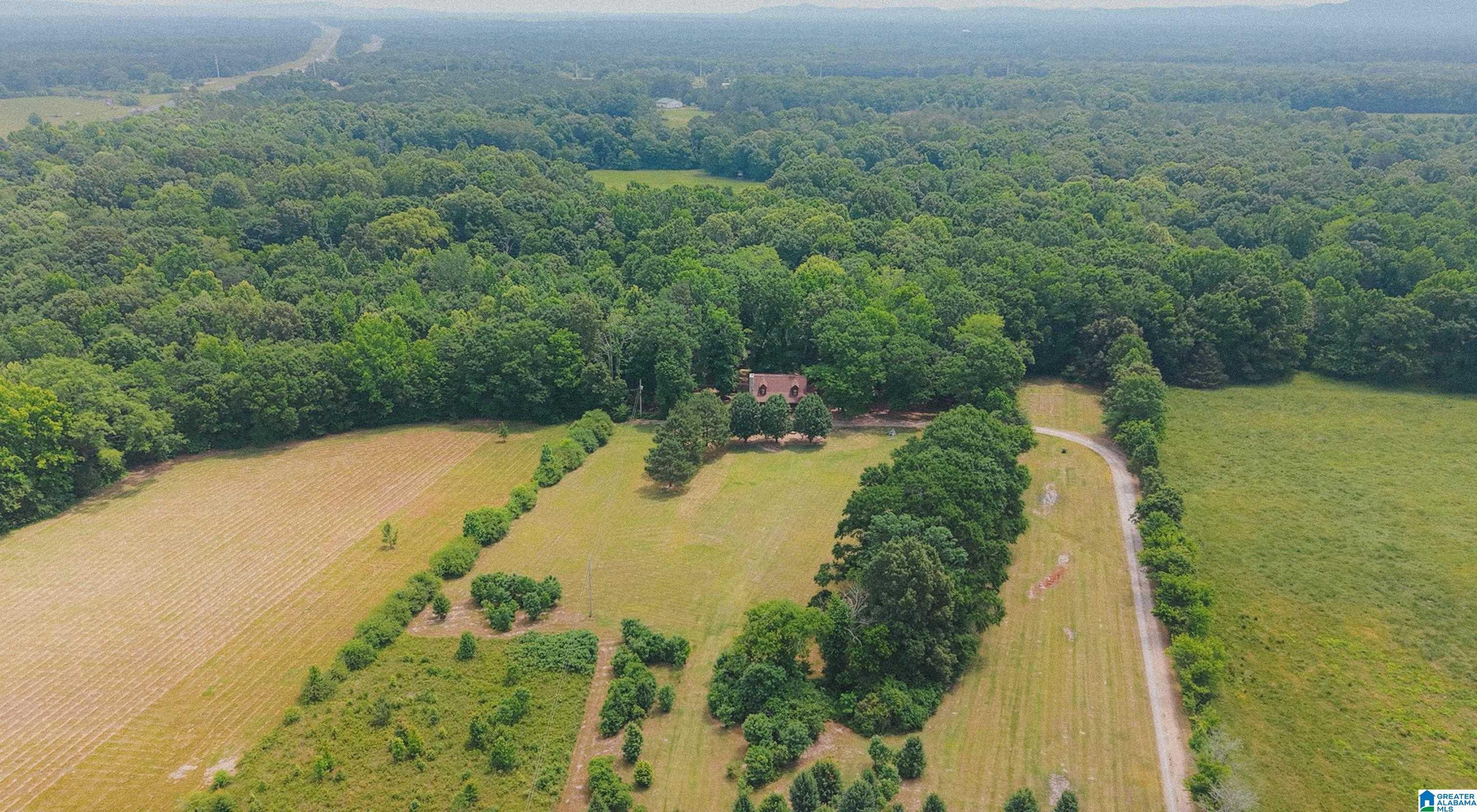 544 Fann Road Steele, AL 35987 - Photo 76 of 84