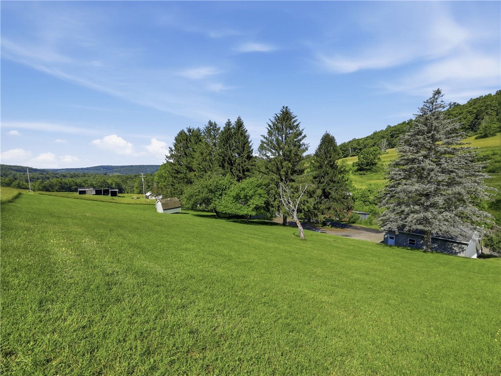 1024 Davis Road Lindley, NY 14830 - Photo 34 of 35