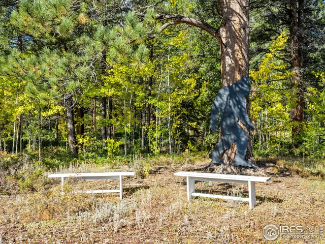 $1,295,000 | 11982 Peak To Peak Drive, Allenspark, CO 80510