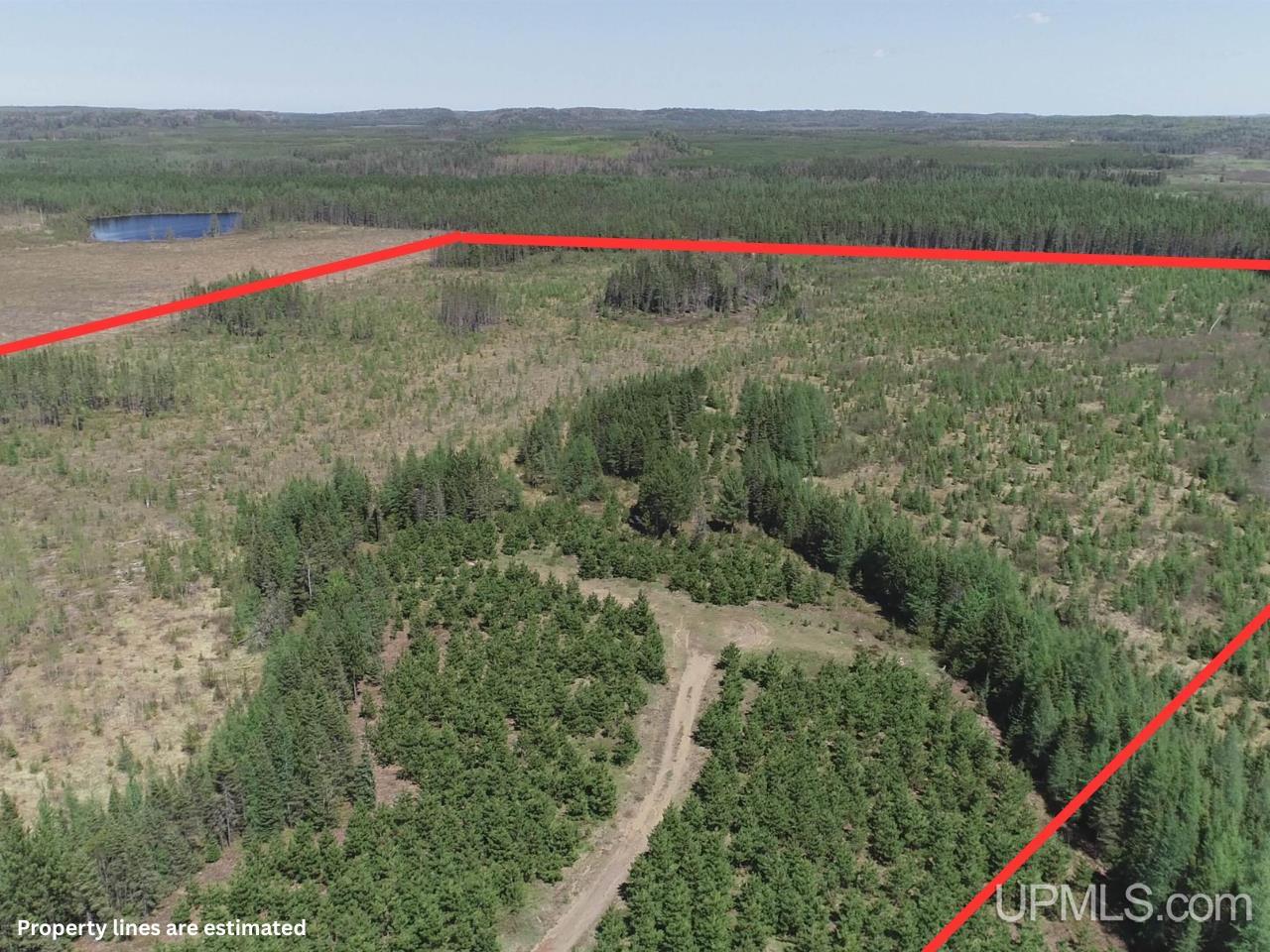58-acres Co Rd Fn Road Champion, MI 49814 - Photo 10 of 27