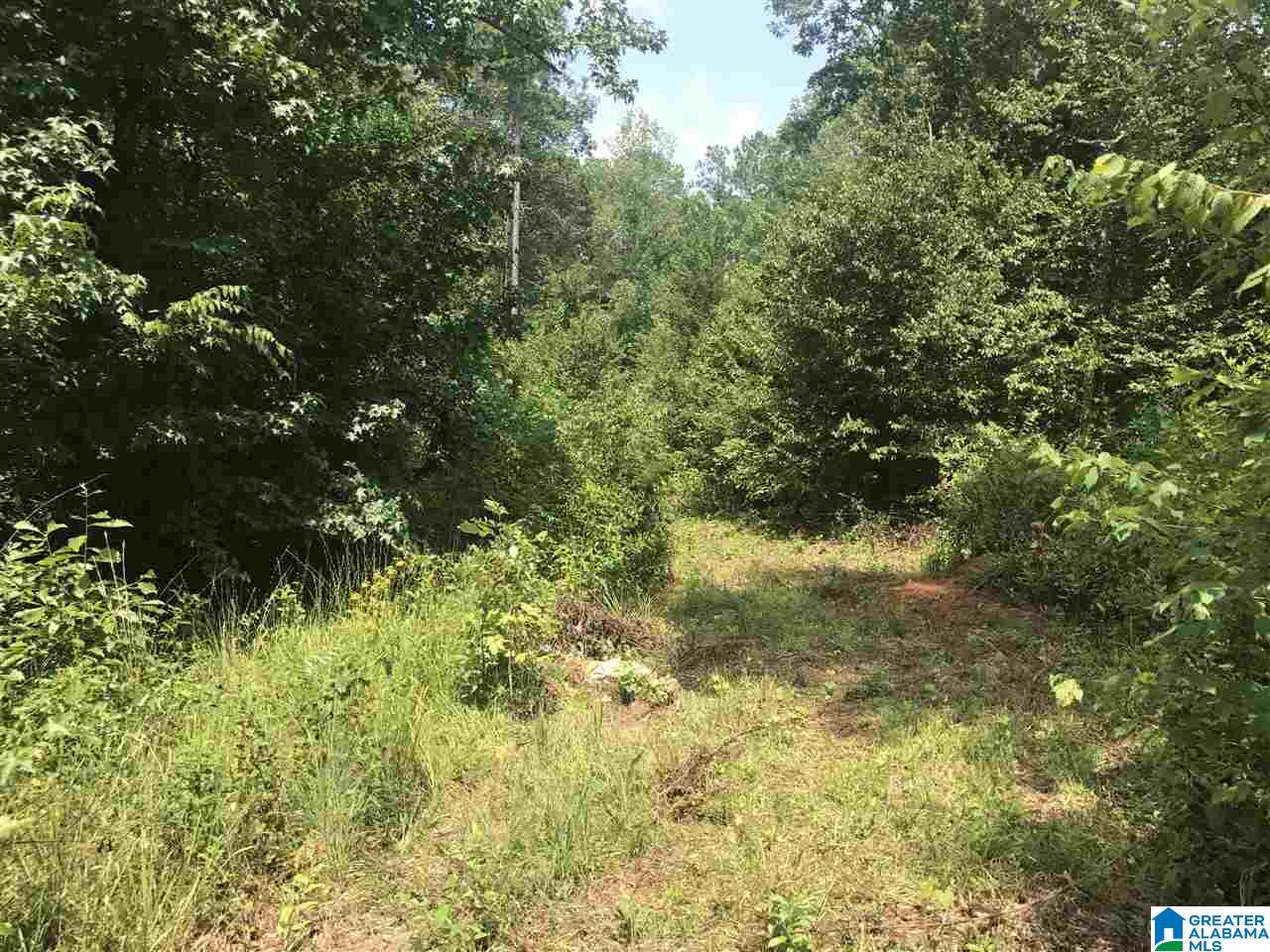 River Bend Road, Unit 2 West Blocton, AL 35184 - Photo 2 of 10