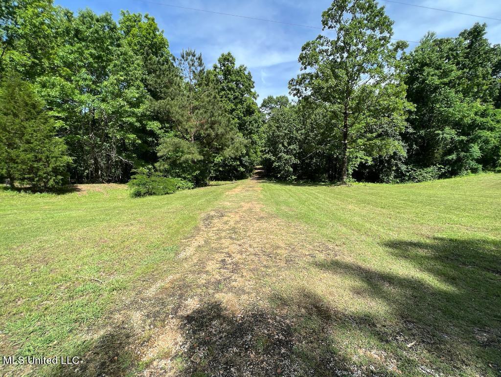 10 Kennedy Road Lamar, MS 38642 - Photo 2 of 12 01
