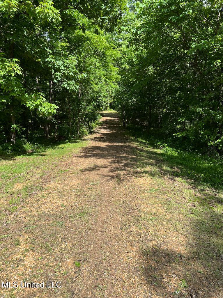 10 Kennedy Road Lamar, MS 38642 - Photo 3 of 12 02