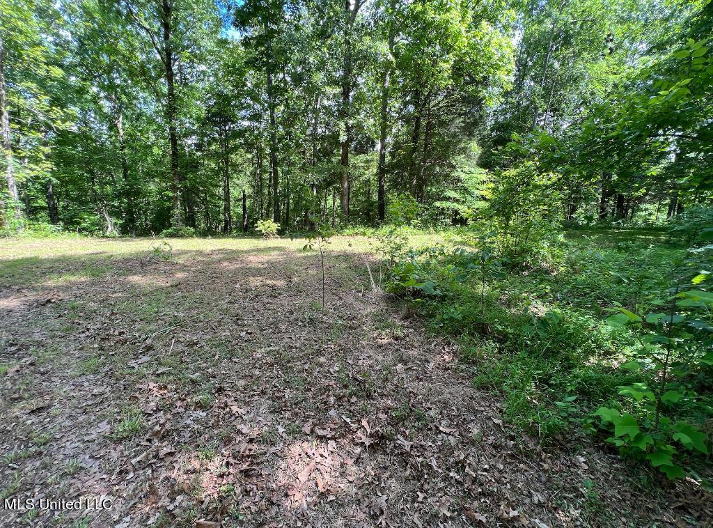 10 Kennedy Road Lamar, MS 38642 - Photo 4 of 12 03
