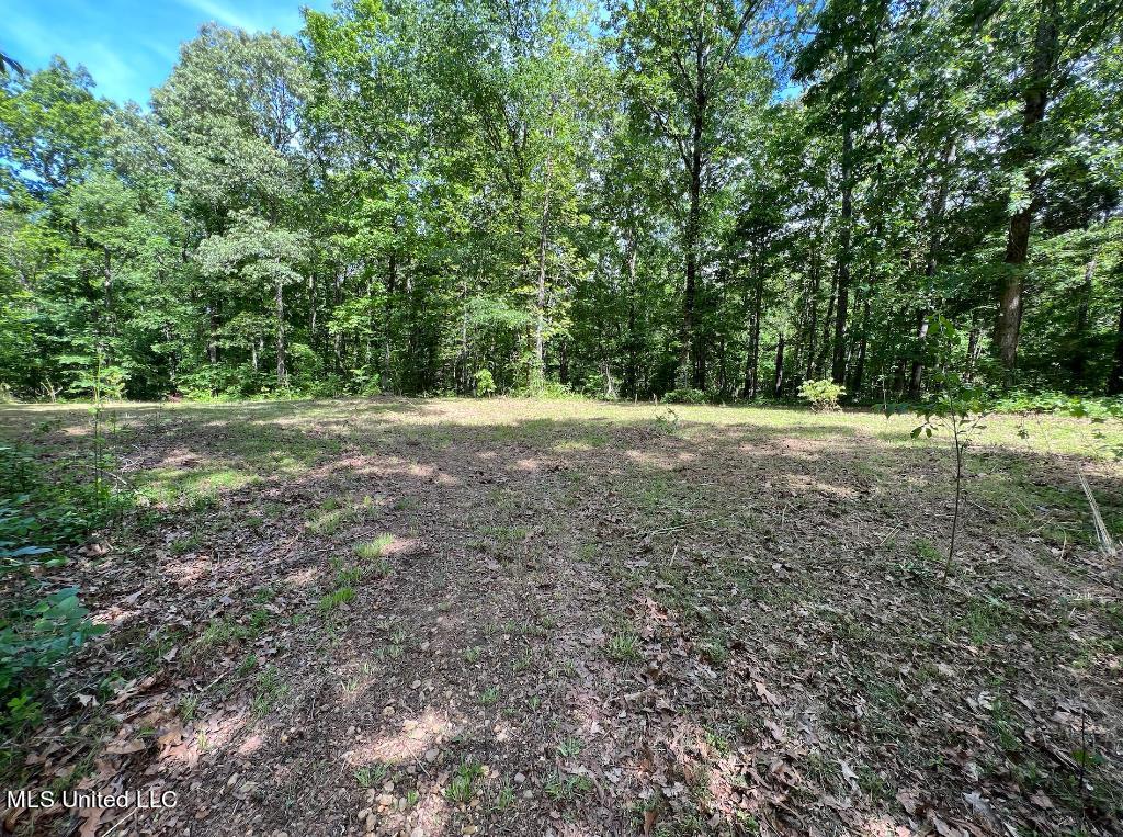 10 Kennedy Road Lamar, MS 38642 - Photo 5 of 12 04